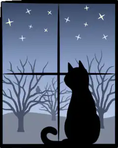Silhouette of cat looking out window at night