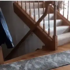 Dog runs past staircase