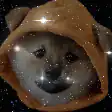 Shiba Inu in space hoodie