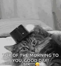 Cat tipping top hat