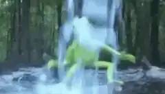 Kermit the Frog emerges from waterfall