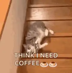tired cat rolling on stairs