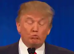 Donald Trump winking