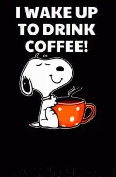 Snoopy I wake up to drink coffee