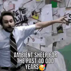Charlie Day Ambient Sheep