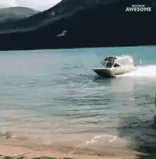 boat crashes into trees