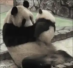 panda mother and baby hugging