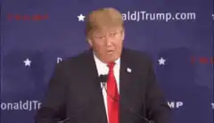 Donald Trump I know words I have the best words