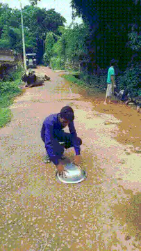 Kids catch a frog in a bowl