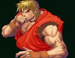 Ryu fighting stance