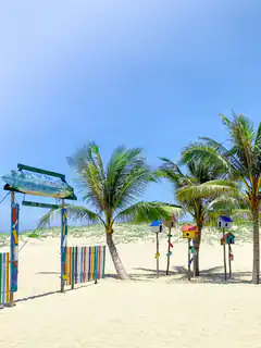 beach with palm trees and birdhouses