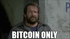 Bitcoin Only meme