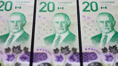 Canadian 20 dollar bills