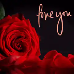 Red rose with love you text
