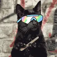 Cool black cat with sunglasses and spoon