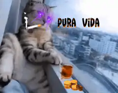 Chill cat smoking with laser eyes