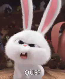 Snowball rabbit says QUE?