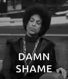 Prince Damn Shame