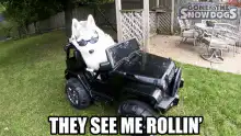 Husky driving jeep they see me rollin