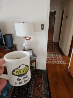 The truth is not there mug