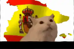 Arriba España cat
