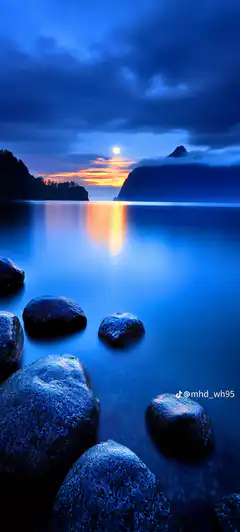 moonlit ocean with rocks