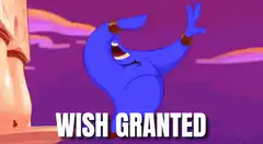 Genie Wish Granted