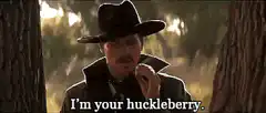 I'm your huckleberry