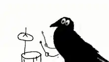 crow playing drums ba dum tss