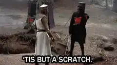 Tis But A Scratch