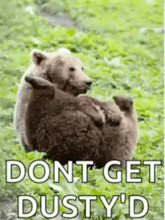 Bear farts with text