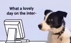Dog looking at computer Good lord