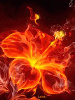 Fiery Flower Animation