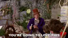 Willy Wonka You're Going To Love This