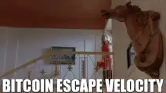 Wall Street Bitcoin Escape Velocity