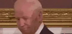 Joe Biden facepalm