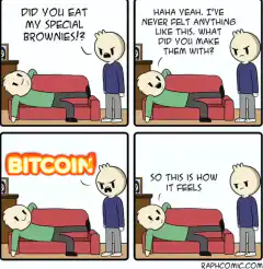 Bitcoin Brownies Comic