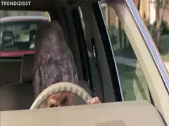 Old lady driving car upside down