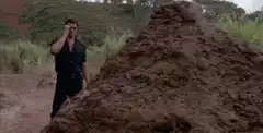 That is one big pile of shit