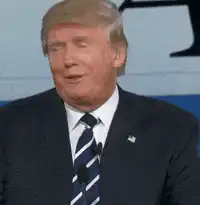 Donald Trump nodding and smiling