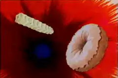 Donut and cracker hit woman's head