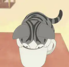Cat in a coffee cup