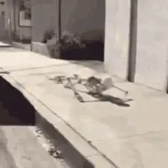 Skeleton skateboarding on sidewalk