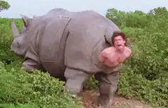 Man stuck in rhino butt