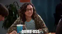 Amy and Sheldon call each other dumbass