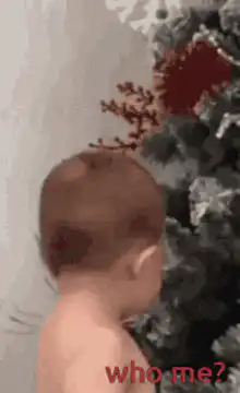 Baby looking at Christmas tree who me