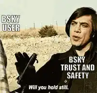 BSKY User Trust and Safety Will You Hold Still