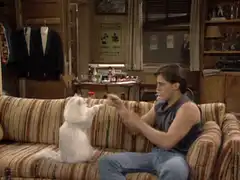 Ross and the dog high five