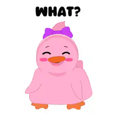 Pink duckling shrugging what