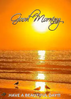 Good Morning Beautiful Day
